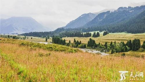 新疆景点爆料事件最新