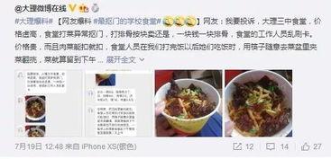 小齐的四个菜爆料视频,家常美食背后的烹饪秘诀