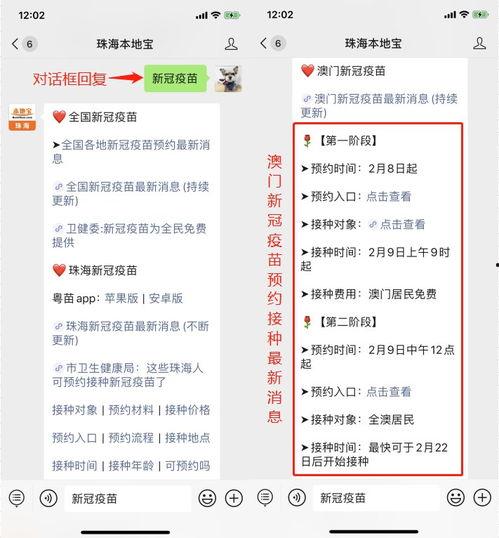 澳门新冠最新爆料信息网,疫情动态实时追踪，权威信息一网打尽”
