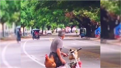 吉林爆料马路大爷视频最新,街头智慧守护者